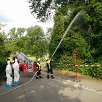img_20170624_083353.jpg