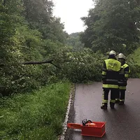 20160712_einsatz_baum_uber_fahrbahn2.jpeg