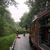 20160712_einsatz_baum_uber_fahrbahn.jpeg