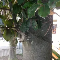 img-20180609-wa0002.jpeg