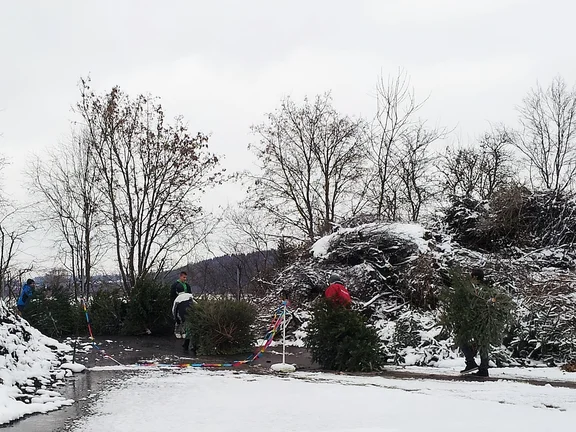 20160116_131027.jpg