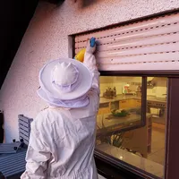 17102017_insekten.jpg