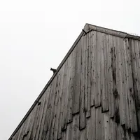 20210205_tierrettung_01.jpg