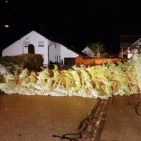 baum_auf_fahrbahn_01.jpg