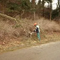 2020_03_06_sturmschaden_schutzstrasse_2.jpg
