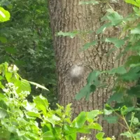 img_20170624_082106.jpg