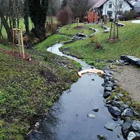 olspur_02.jpg