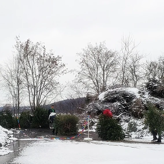 20160116_131027.jpg