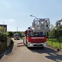 wespen_01.jpg