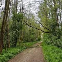 einsatz_08-05-2022_01.jpg