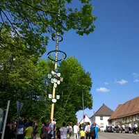 img_20180429_155903561.jpg