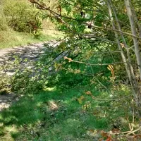 img_20170430_155030907_hdr.jpg