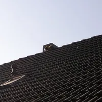 tierrettung_02.jpg
