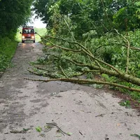 sturmschaden_halde_29062021.jpg